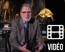 Les traditions sont-elles mortelles ? Entretien avec Louis Rousseau