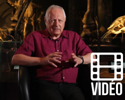 Entretien avec Pierre Gisel, Les traditions religieuses